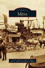 Mesa af Lisa A Anderson