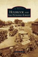 Holbrook and the Petrified Forest af Catherine H Ellis