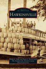 Hawkinsville af Tracie L Provost