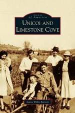 Unicoi and Limestone Cove af Janice Willis Barnett