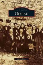 Goliad af Raymond Starr