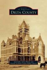 Delta County af Judy Falls