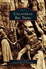 Calaveras Big Trees af Carol A Kramer