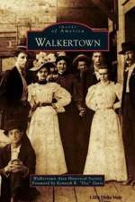Walkertown af Foreword by Kenneth R Doc Davis
