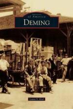 Deming af Laura V Krol