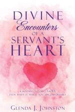 Divine Encounters of a Servant's Heart af Glenda J Johnston