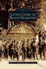 Little Cities of Black Diamonds af Jeffrey T Darbee