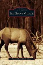 Elk Grove Village af Nancy Colby
