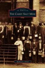 Carey Salt Mine af Barbara C Ulrich