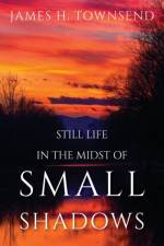 Still Life in the Midst of Small Shadows af James H Townsend