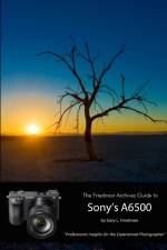 Friedman Archives Guide to Sony's Alpha 6500 (B&W Edition) af Gary L. Friedman