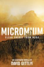 Micromium af David B Gittlin