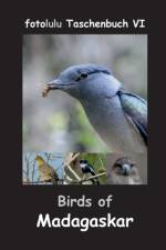 Birds of Madagaskar af Fotolulu