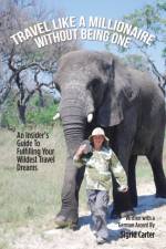 Travel Like a Millionaire Without Being One af Sigrid Carter