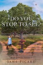 Do You Stop to See? af Jane Picard