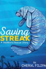 Saving Streak