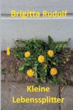 Kleine Lebenssplitter af Brigitta Rudolf