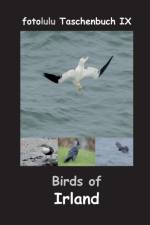 Birds of Irland af Fotolulu