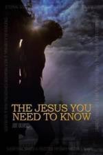 Jesus You Need to Know af Joe Durso