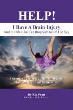 HELP! I Have A Brain Injury And It Feels Like I've Dropped Out of the Sky af Kay Pratt Ceap Cpcc Cslc