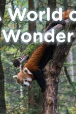 World of Wonder