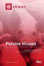 Porcine Viruses