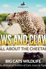 Paws and Claws! All about the Cheetah (Big Cats Wildlife) - Children's Biological Science of Cats, Lions & Tigers Books af Prodigy Wizard