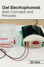 Gel Electrophoresis: Basic Concepts and Principles