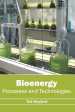 Bioenergy: Processes and Technologies