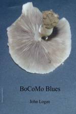BoCoMo Blues af John (Brown University) Logan