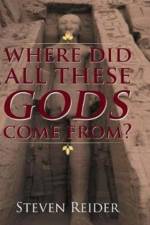 Where Did All These Gods Come From? af Steven Reider