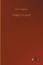 Night in Avignon