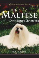 The Maltese af Vicki Abbott