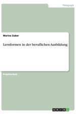 Lernformen in der beruflichen Ausbildung af Marina Zuber