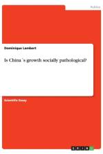 Is Chinas growth socially pathological? af Dominique Lambert