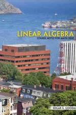 Linear Algebra I: Course Notes for Math 2050 af Edgar G. Goodaire