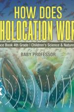 How Does Echolocation Work? Science Book 4th Grade Children's Science & Nature Books af Baby Professor
