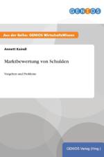 Marktbewertung von Schulden af Annett Kaindl