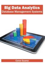 Big Data Analytics (Database Management Systems)