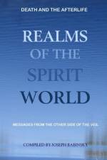 Realms of the Spirit World af Joseph Babinsky (Editor)