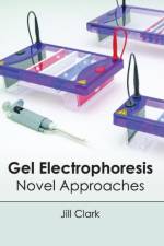 Gel Electrophoresis: Novel Approaches