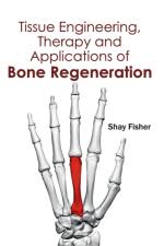 Tissue Engineering, Therapy and Applications of Bone Regeneration