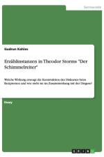 Erzahlinstanzen in Theodor Storms 