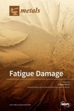 Fatigue Damage
