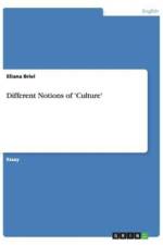 Different Notions of 'Culture' af Eliana Briel