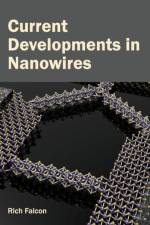 Current Developments in Nanowires