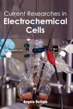 Current Researches in Electrochemical Cells