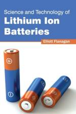 Science and Technology of Lithium Ion Batteries