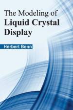 Modeling of Liquid Crystal Display