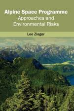Alpine Space Programme: Approaches and Environmental Risks